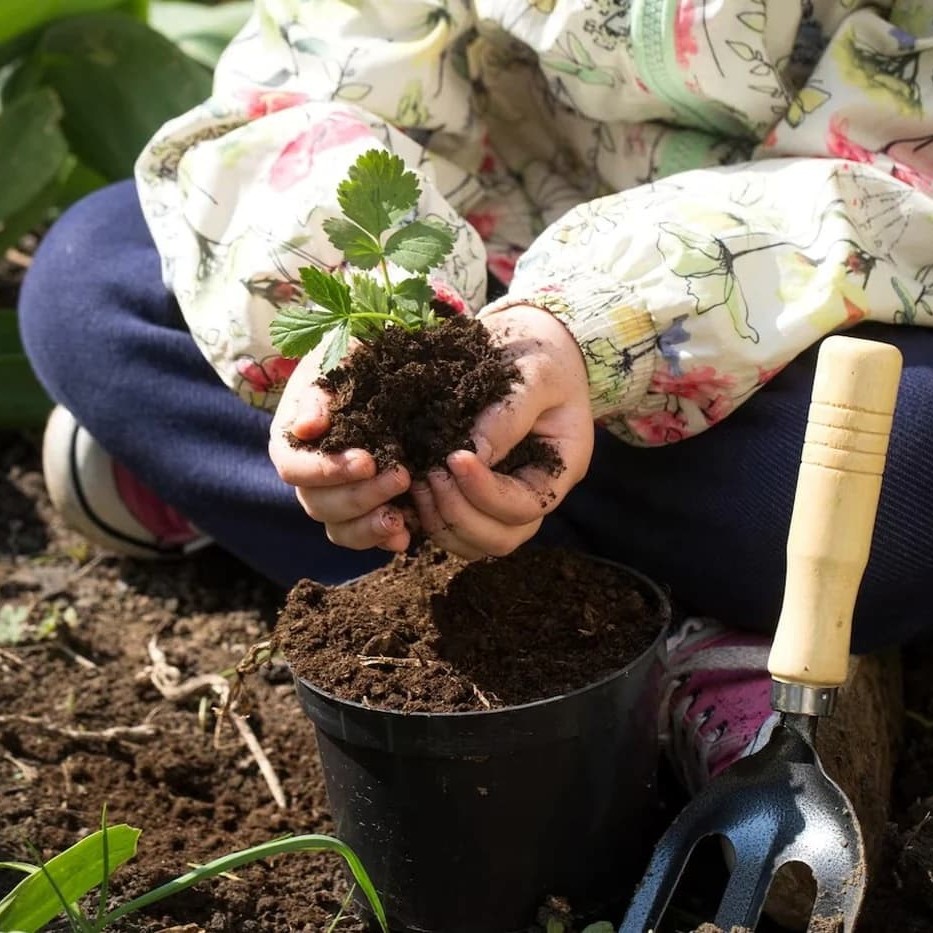 مواد تشکیل دهنده اصلی برای ساخت بستر کشت حرفه ای